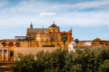 Cordoba kompleksinin Mezquita Katedrali çatı ve ağaçların üzerinde yükseliyor, Endülüs, İspanya 'da ikonik mimari