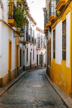 İspanya 'nın tarihi Endülüs kenti Cordoba' da beyazlatılmış binalar, sarı süslemeler ve çiçek dolu balkonlarla dolu bir kaldırım taşı sokak.