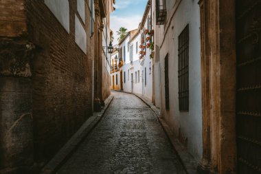 İspanya 'nın Cordoba kentindeki eski kasaba caddesinde geleneksel beyaz binalar, büyüleyici saksı bitkileri ve antik tuğla duvarlar yer alıyor.