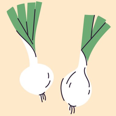 Düz, karalamalı, minimalist tarzda elle çizilmiş soğan çizimi. Soğan, dilimler ve dallardan oluşan basit bir tasarım. Yemek paketleri, mutfak baskıları, menüler ve sağlıklı şeyler için mükemmel. 