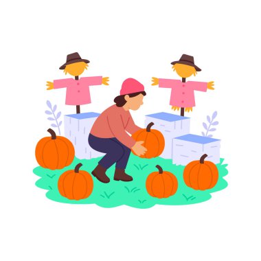 Balkabağı tarlası, sıra sıra balkabakları arasında yürüyor.