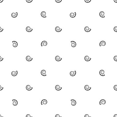 Beyaz arkaplanda salyangoz kabukları