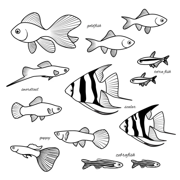 Acuario conjunto de peces dibujados a mano aislado — Vector de stock