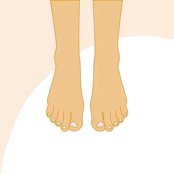 Hermosos pies femeninos — Vector de stock