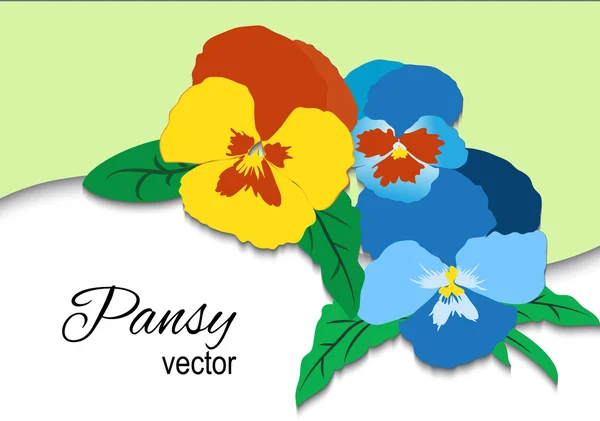 Pansy blommig kort — Stock vektor