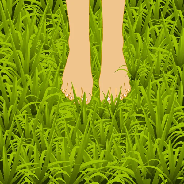 Pied sur l'herbe verte — Image vectorielle