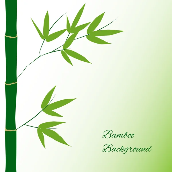 Vector fondo de bambú — Vector de stock