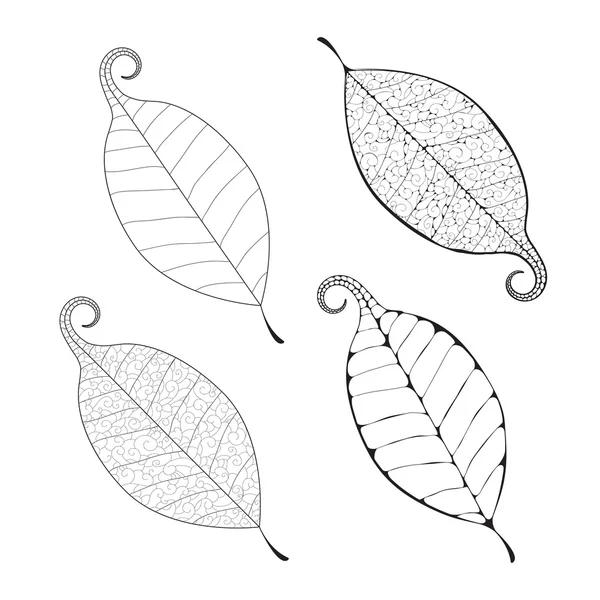 Beautiful Vector leaf isolated — Stock Vector