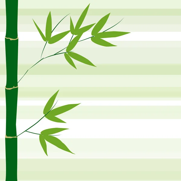 Vector fondo de bambú — Vector de stock