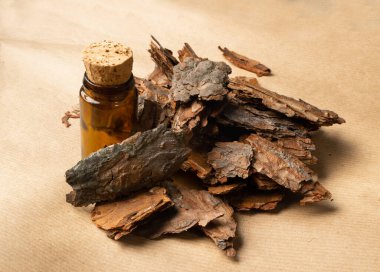 Eski Kraft Kağıt Arkaplanındaki Çam Ağacı Ağacı Kabuğu Parçaları yığını. Kırık Orman Doğa Çipi