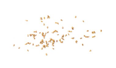 Beyaz arkaplan görünümünde izole edilmiş üzüm tohumları. Dağılmış üzüm tohumları yığını