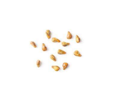 Beyaz arkaplan görünümünde izole üzüm tohumları yığını. makro Üzüm tohumları yığın makro fotoğraf