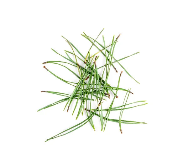 Heap Pine Needles Isolated White Background Dry Green Coniferous Trees — Stock Photo, Image