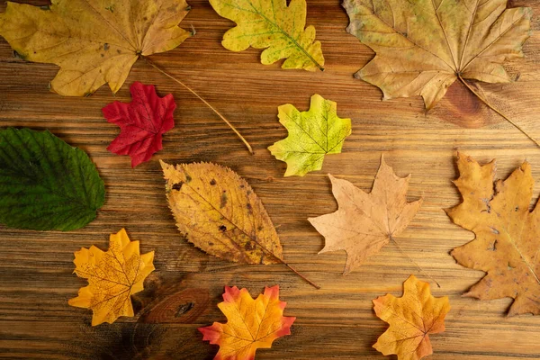 Folhas Outono Coloridas Padrão Silhuetas Folhagem Fundo Madeira Textura Folha — Fotografia de Stock