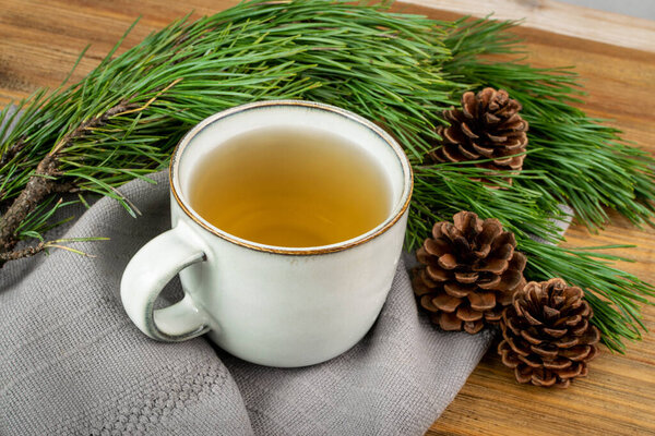 Pine needles tea in old cup. Healthy winter beverage in camping, pine tree needles tea in vintage mug. Medicine scurvy, source of vitamin C and carotene