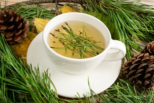 Tannennadeln Tee Weißer Tasse Gesundes Wintergetränk Auf Dem Campingplatz Tannennadeln — Stockfoto