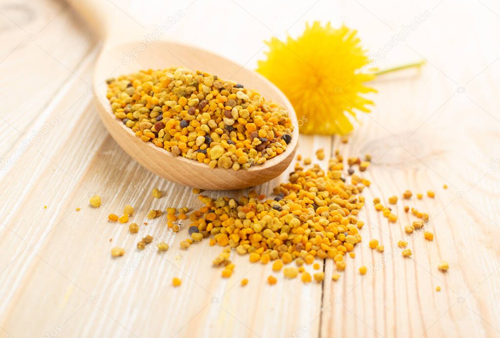 Macro shot of bee pollen or perga in wooden spoon on blurred rustic background. Raw brown, yellow, orange and blue flower pollen grains or bee bread. Healthy food supplement with selective focus