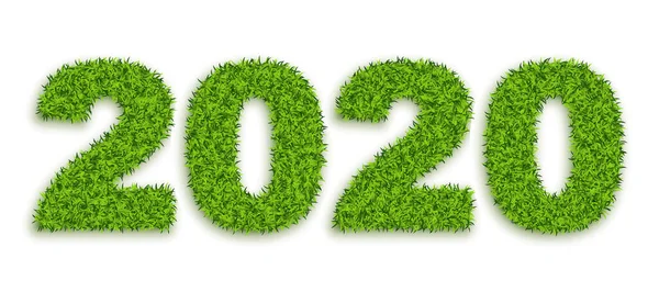 Зелені Трав Яні Номери 2020 Ізольовані Білому Тлі Екологічні Символи — стоковий вектор