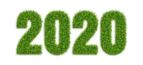 Зелені Трав Яні Номери 2020 Ізольовані Білому Тлі Екологічні Символи — стоковий вектор