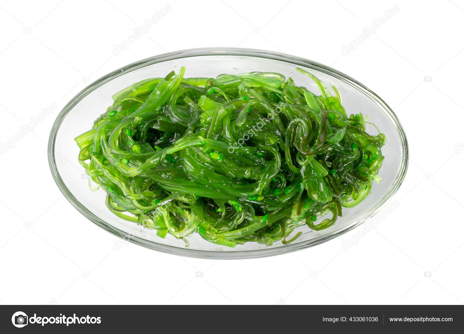 Edible Green Algae Sea Vegetable Isolated Green Chuka Seaweed Salad