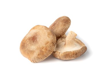 Beyaz arka planda izole edilmiş taze shiitake mantarları. Çiğ bok, sağlıklı organik Asya mantarı.