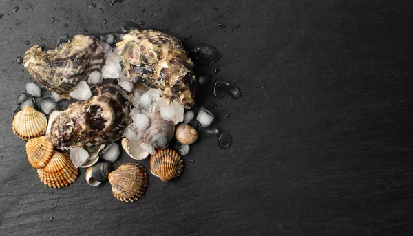 Frische Geschlossene Austern Auf Eis Fischrestaurant Rohe Weichtiere Schalentiere Oder — Stockfoto