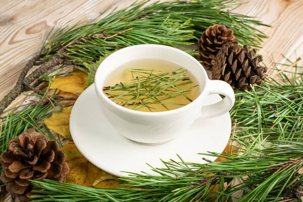 Pine needles tea in white cup. Healthy winter beverage in camping, pine tree needles tea in mug. Medicine scurvy, source of vitamin C and carotene