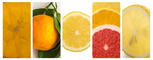 Agrumi Fette Frutta Collage Sfondo Miscela Agrumi Vari Arancio Affettato — Foto Stock