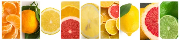 Citrusschijfjes Fruit Collage Achtergrond Diverse Citrus Mix Snijd Oranje Limoen — Stockfoto