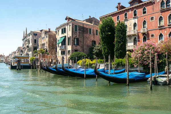 Italie Venise Juillet 2020 Image Éditoriale Célèbre Venise Italienne Été — Photo