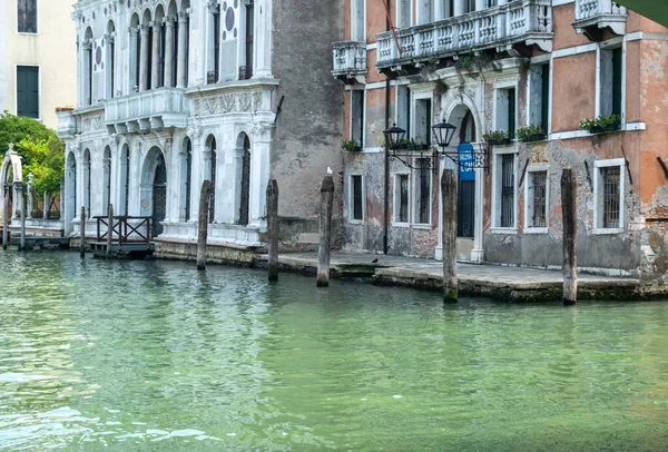 Italy Venice July 2020 Editorial Image Famous Italian Venice Summer — Stock Photo, Image