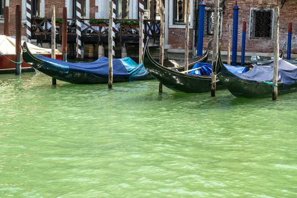 Italie Venise Juillet 2020 Image Éditoriale Des Célèbres Gondoles Italiennes — Photo