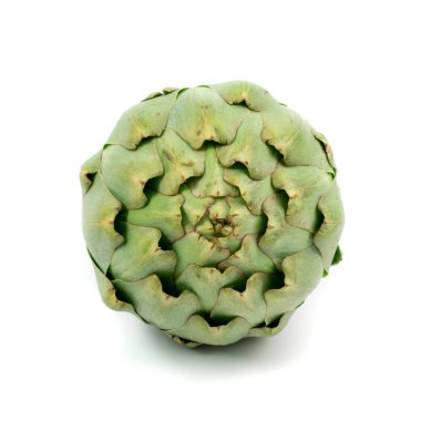 Taze enginar beyaz arka planda izole edilmiş. Tam yeşil enginar, çiğ yenebilir sinarya çiçeği tomurcuğu, organik İtalyan sebzesi.