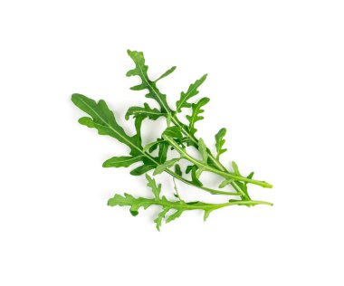 Arugula izole edildi. Taze roka, roka yaprakları, roka, eruca ya da bahçe roketi salatası.