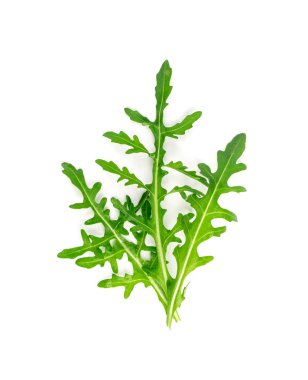 Arugula izole edildi. Taze roka, roka yaprakları, roka, eruca ya da bahçe roketi salatası.