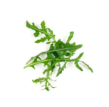 Arugula izole edildi. Taze roka, roka yaprakları, roka, eruca ya da bahçe roketi salatası.
