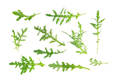 Arugula yapayalnız kalır. Taze roka, roka, roka, eruca veya bahçe roketi.