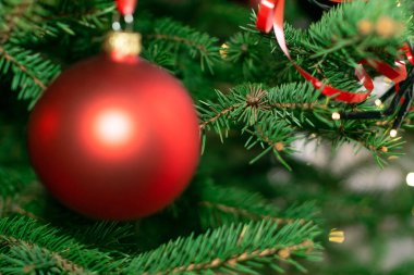 Bulanık Noel ladin desenli arka plan. Doğal yeşil defocus deseni, verimli köknar dalları, Xmas çam dalları, yeni yıl filizi ve noel topu.