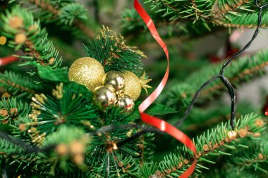 Bulanık Noel ladin desenli arka plan. Doğal yeşil defocus deseni, verimli köknar dalları, Xmas çam dalları, Yeni Yıl filizi