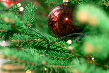 Bulanık Noel ladin desenli arka plan. Doğal yeşil defocus deseni, verimli köknar dalları, Xmas çam dalları, yeni yıl filizi ve noel topu.