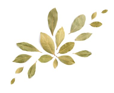 Kuru körfez yaprakları beyaz arka planda izole edilmiş. Laurel yaprağı çeşnili üst görünüm