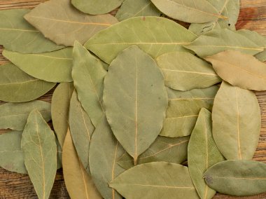 Kuru körfez yaprakları beyaz arkaplanda izole edildi. Kurumuş defne yaprağı çeşni koleksiyonu üst görünümü