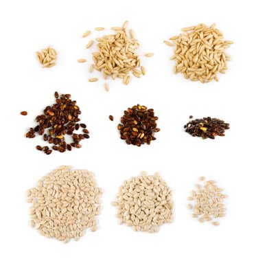 Beyaz arka planda izole edilmiş kavun tohumları koleksiyonu. Karpuz, karpuz, salatalık, kabak taneli sağlıklı tohumlar.