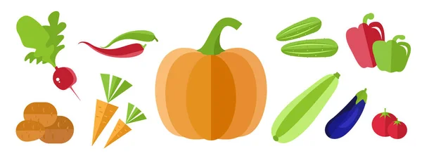 Vegetable Icons Vegetables Collection Pumpkin Zucchini Eggplant Bell Pepper Tomato — Stock Vector
