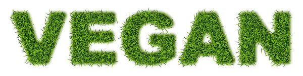 Word Vegan Made Green Grass Astroturf Lettering Vegan Print Lawn — Stock Vector