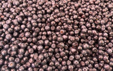 Yabanmersini dokusu arka planı. Taze böğürtlen desenli dut kağıdı, kopyalama alanı olan dut kağıdı, olgun yaban mersini ya da böğürtlen modeli, tatlı tatlı yaban mersini şablonu