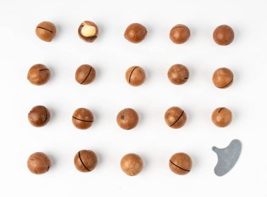 Macadamia fındıkları izole edildi. Doğal çiğ çiğ macadamia tohumları ve kabukları, beyaz arka planda dünyanın en sert ve en pahalı fındıkları.