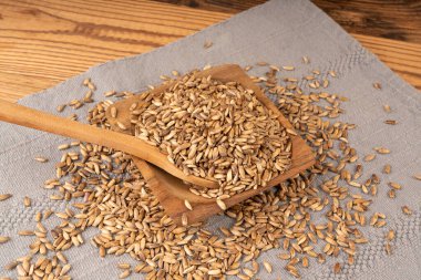 Süt devedikeni tohumu yığını, silybum marianum taneleri, kuru mübarek süt devedikeni meyveleri, gri arka planda devedikeni çekirdekleri, ahşap kase, doğal organik şifalı bitkiler.