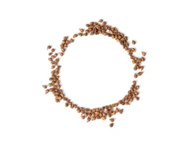 Üzüm tohumları yağ çıkarma için hazır. Dokulu üzüm çekirdekleri yuvarlak çerçeve izole, meyve kaplıcaları için masaj kozmetik hammaddeler, beyaz arka planda saç güzelliği