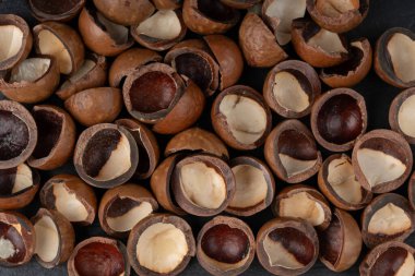 Macadamia fındık kabuğu deseni. Doğal çiğ macadamia tohumları ve kabuk arka planı, dünyanın en sert ve en pahalı fındıkları.